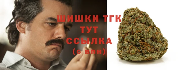 спайс Вяземский