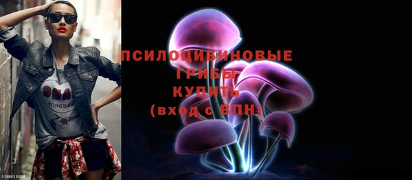 спайс Вяземский