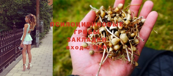 спайс Вяземский