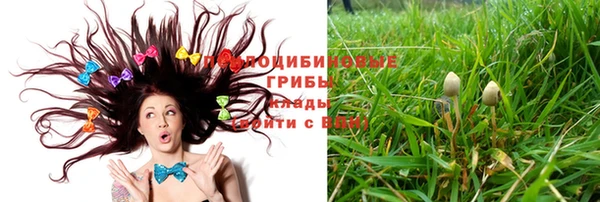 спайс Вяземский