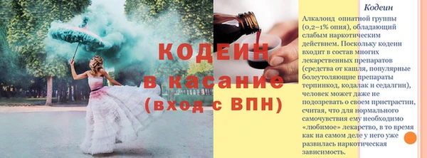 спайс Вяземский
