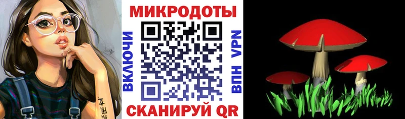 как найти   Курск  Галлюциногенные грибы Magic Shrooms 